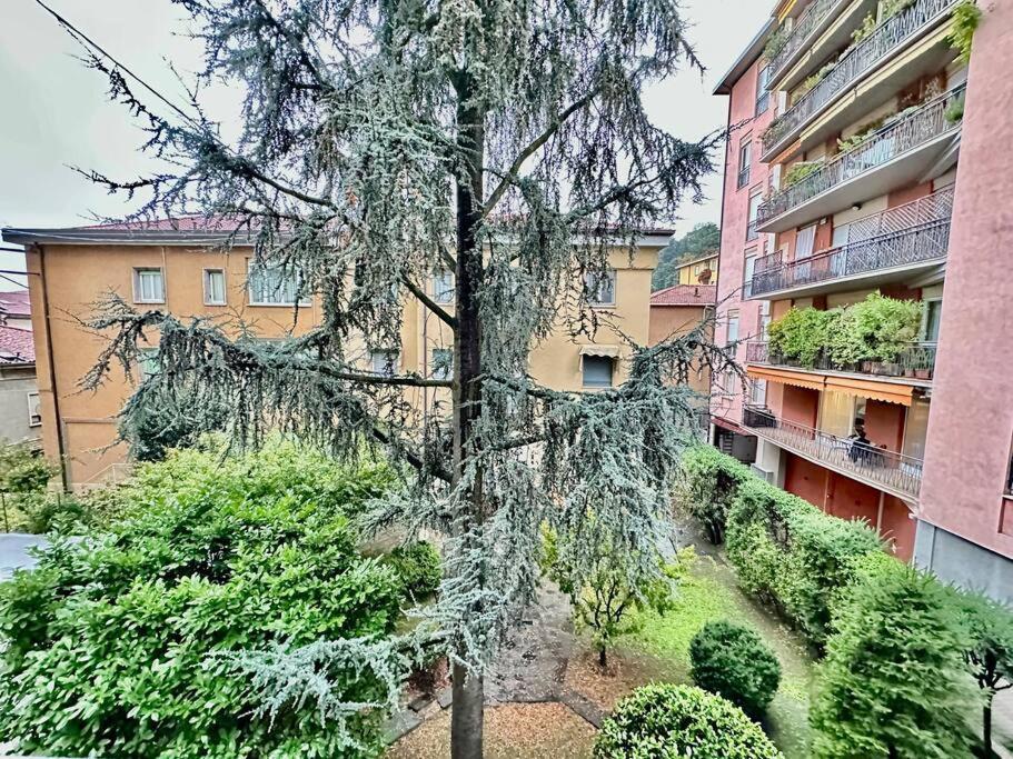Luxury House Near The Funicular Apartment Bergamo Exterior foto